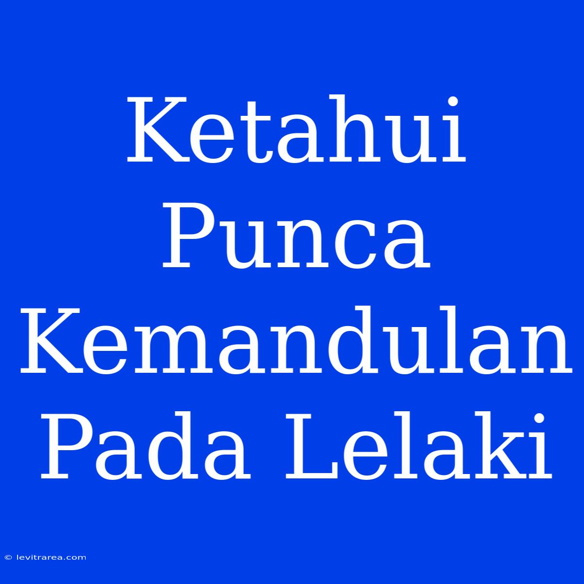 Ketahui Punca Kemandulan Pada Lelaki