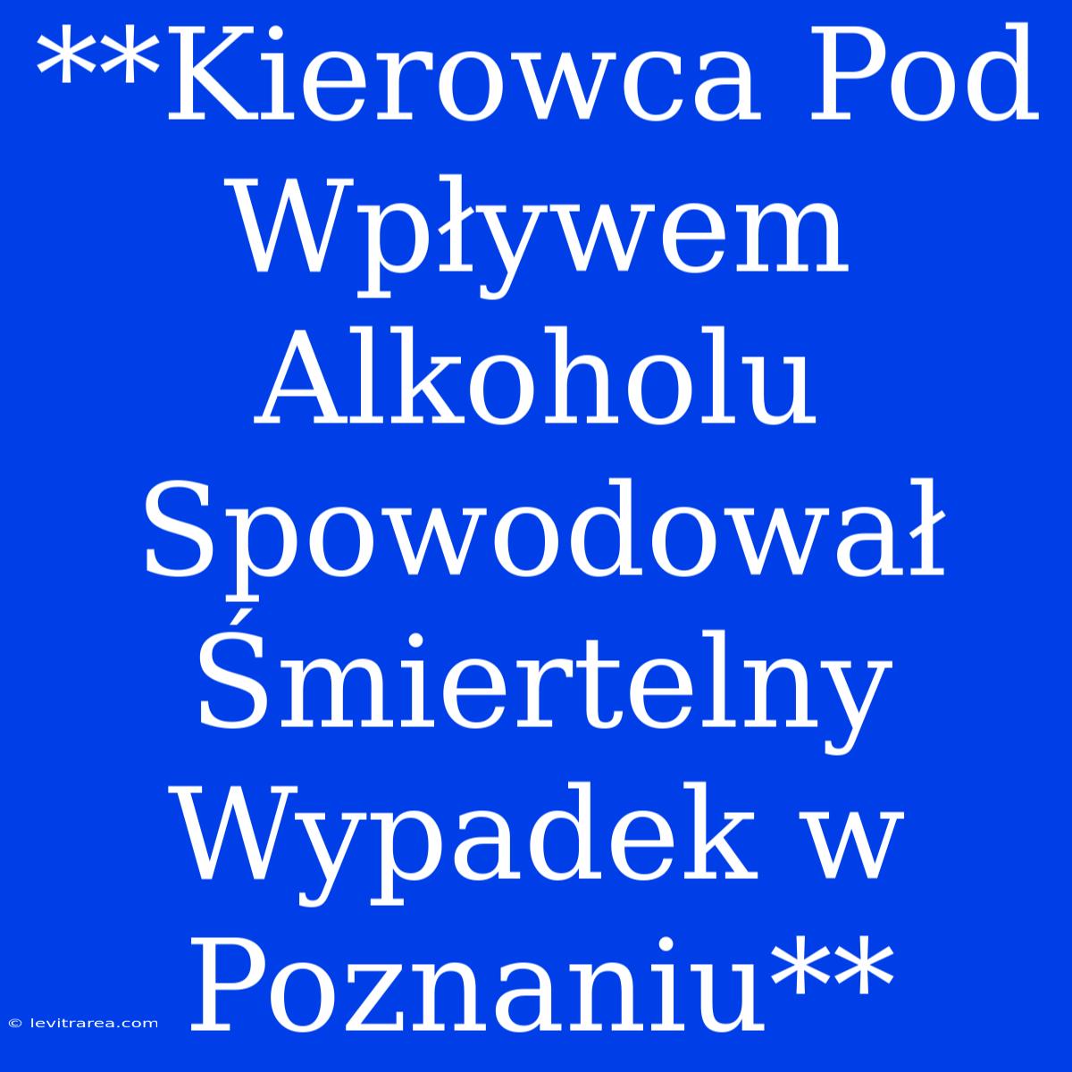 **Kierowca Pod Wpływem Alkoholu Spowodował Śmiertelny Wypadek W Poznaniu**