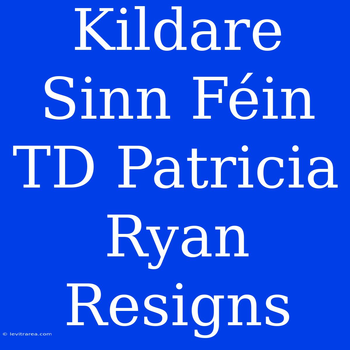 Kildare Sinn Féin TD Patricia Ryan Resigns