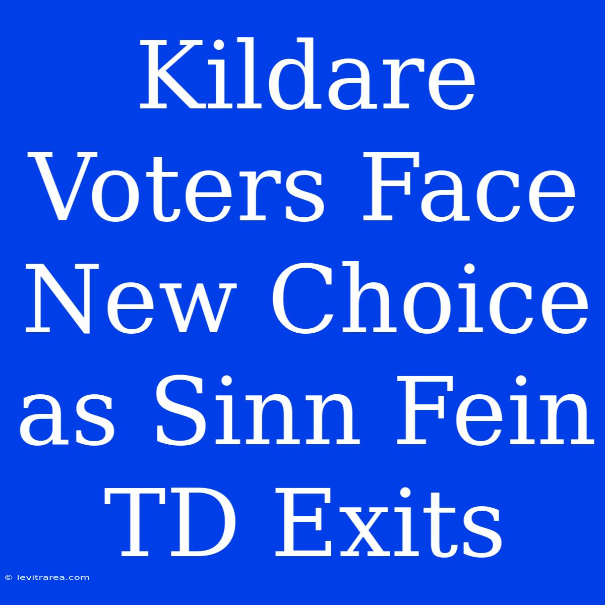 Kildare Voters Face New Choice As Sinn Fein TD Exits 