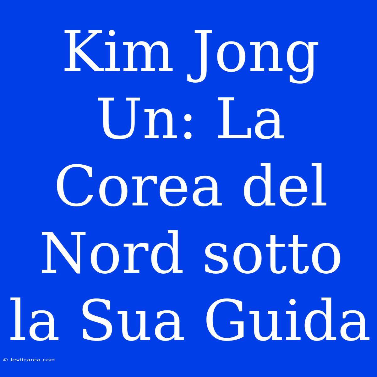 Kim Jong Un: La Corea Del Nord Sotto La Sua Guida