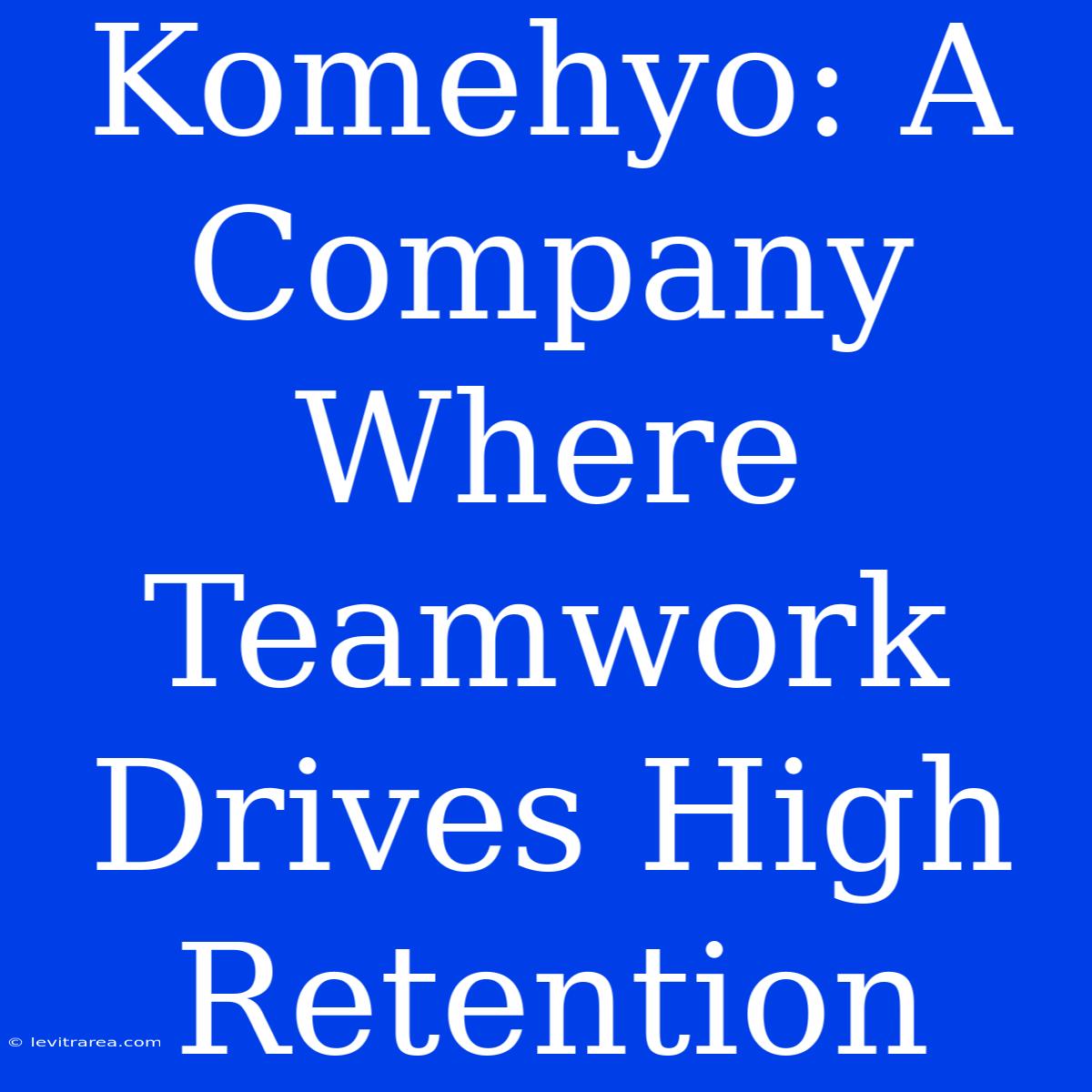 Komehyo: A Company Where Teamwork Drives High Retention