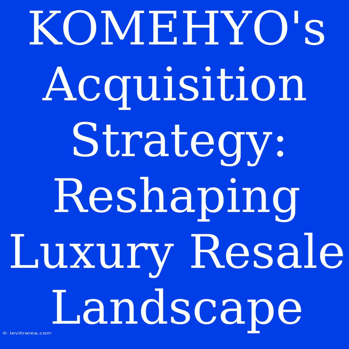 KOMEHYO's Acquisition Strategy: Reshaping Luxury Resale Landscape