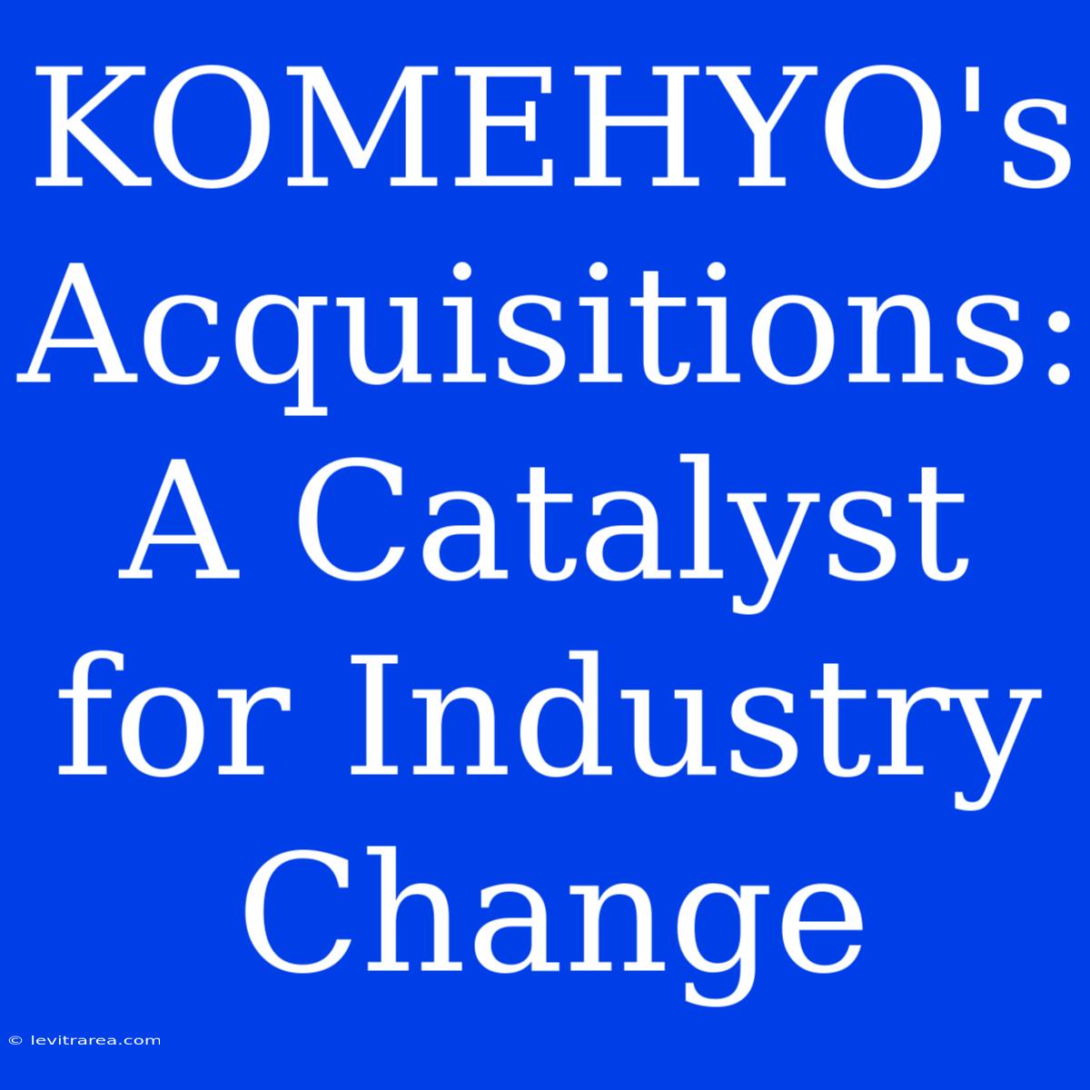 KOMEHYO's Acquisitions: A Catalyst For Industry Change