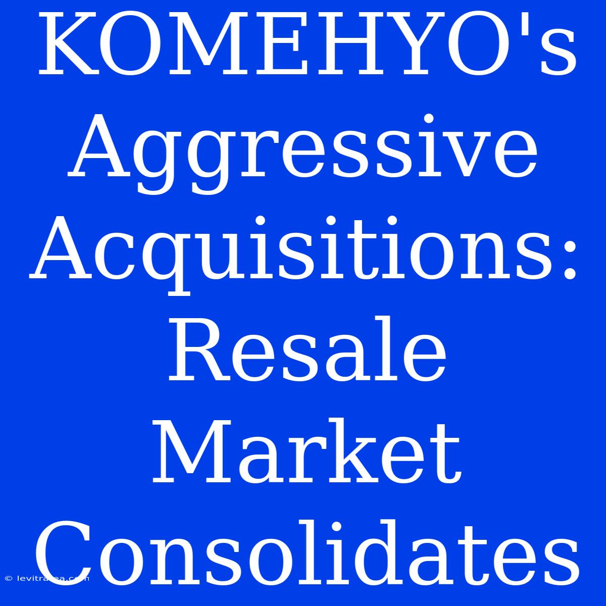 KOMEHYO's Aggressive Acquisitions: Resale Market Consolidates