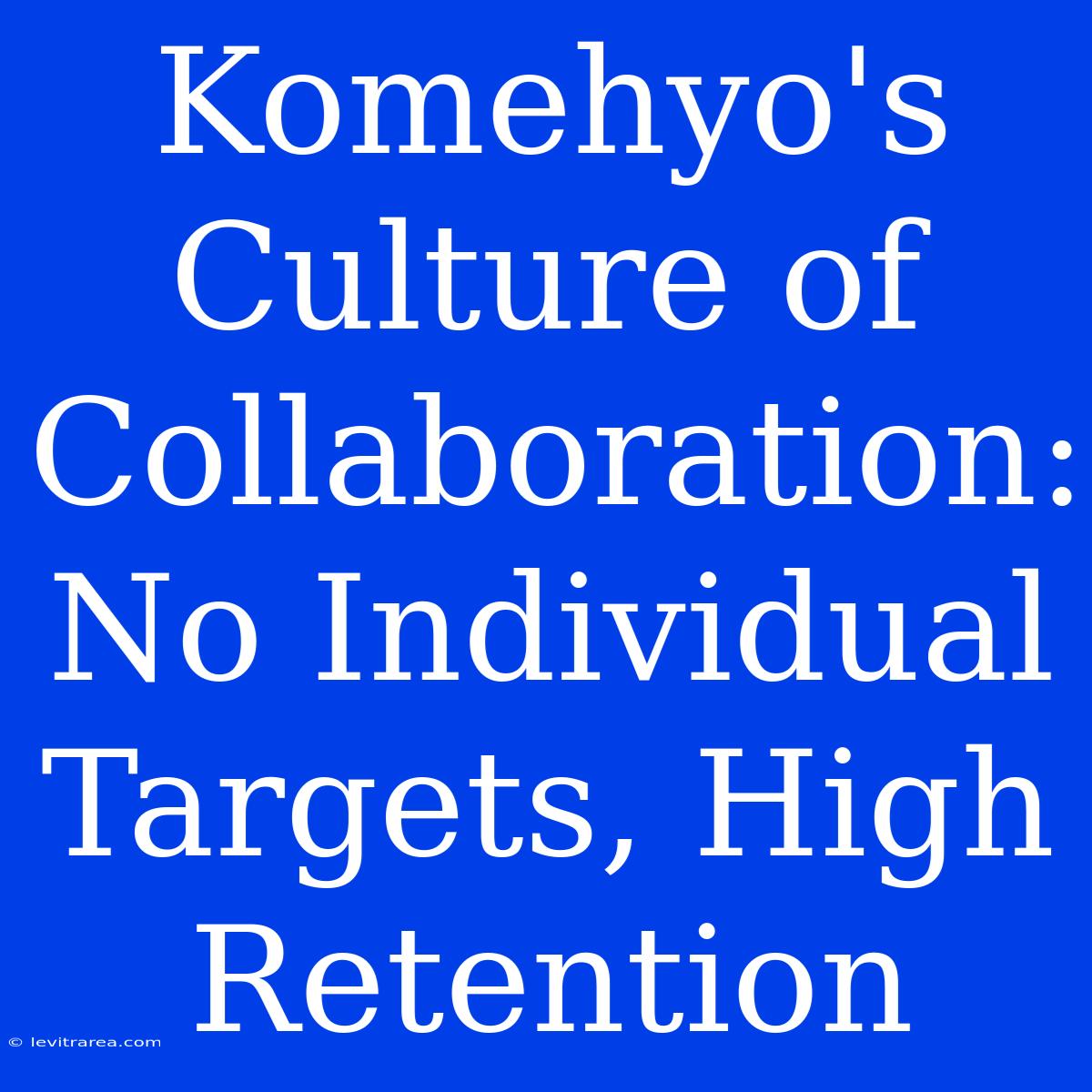 Komehyo's Culture Of Collaboration: No Individual Targets, High Retention