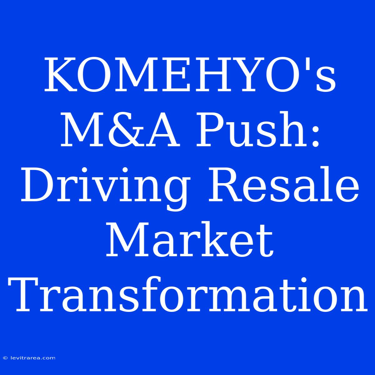 KOMEHYO's M&A Push: Driving Resale Market Transformation