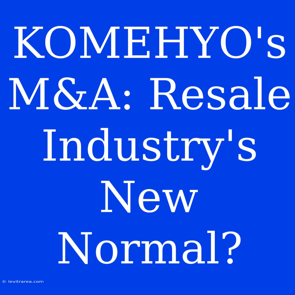 KOMEHYO's M&A: Resale Industry's New Normal? 