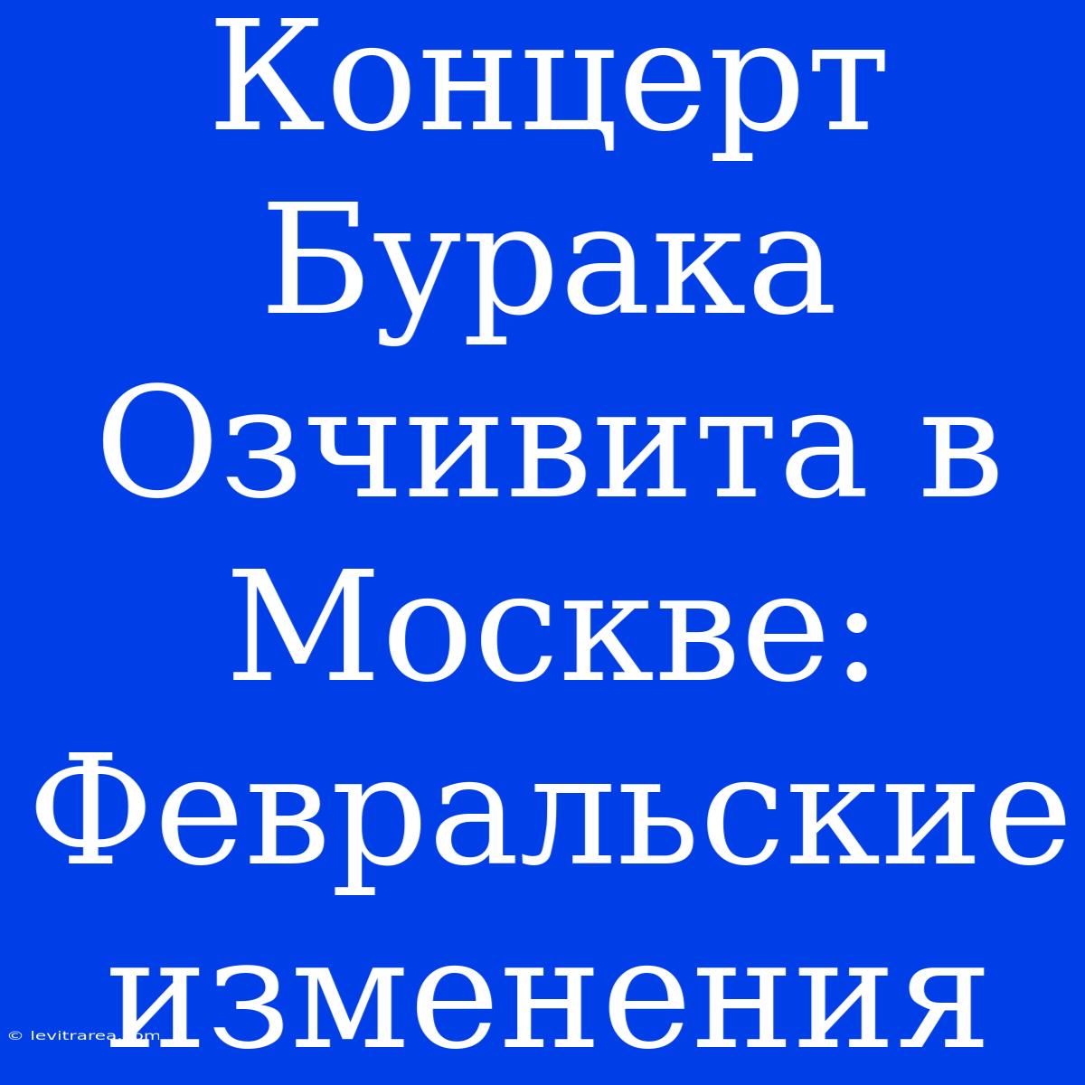 Концерт Бурака Озчивита В Москве:  Февральские Изменения