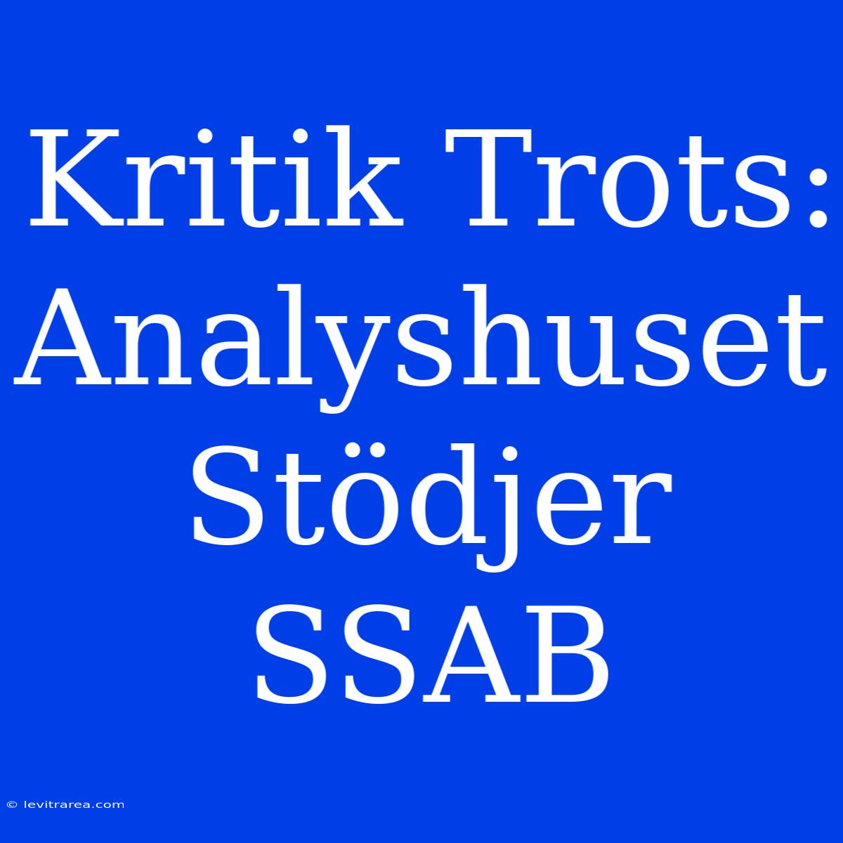 Kritik Trots: Analyshuset Stödjer SSAB