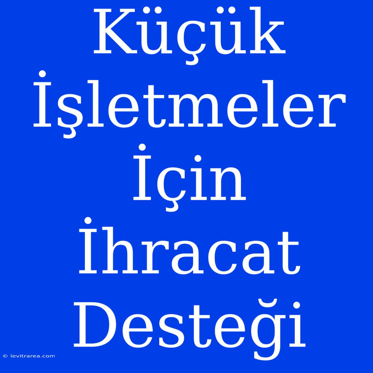 Küçük İşletmeler İçin İhracat Desteği