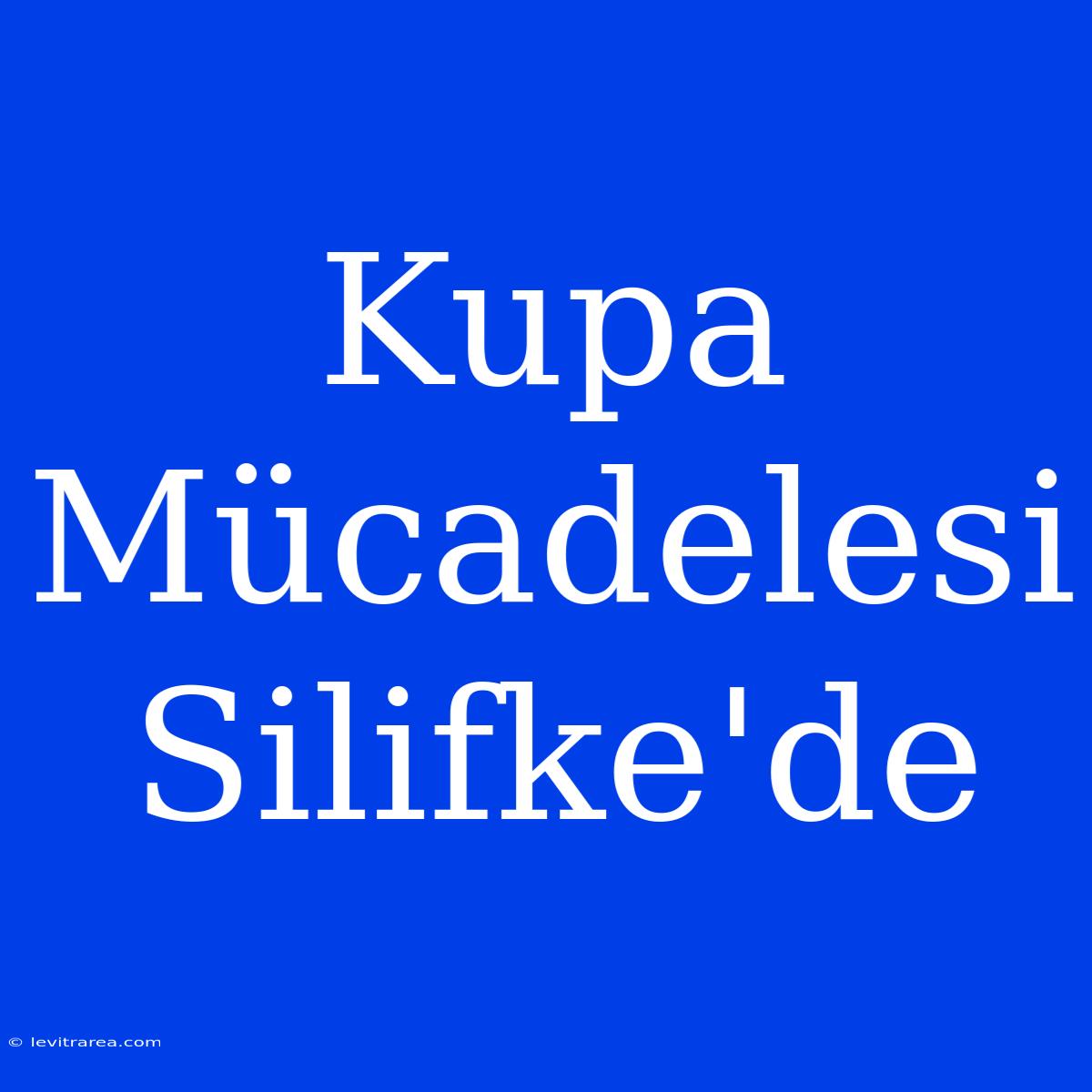 Kupa Mücadelesi Silifke'de