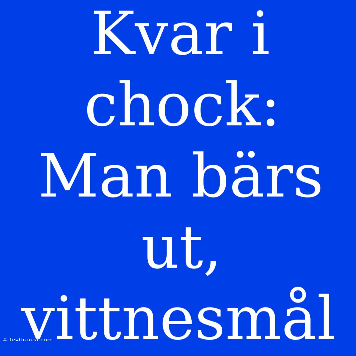 Kvar I Chock: Man Bärs Ut, Vittnesmål