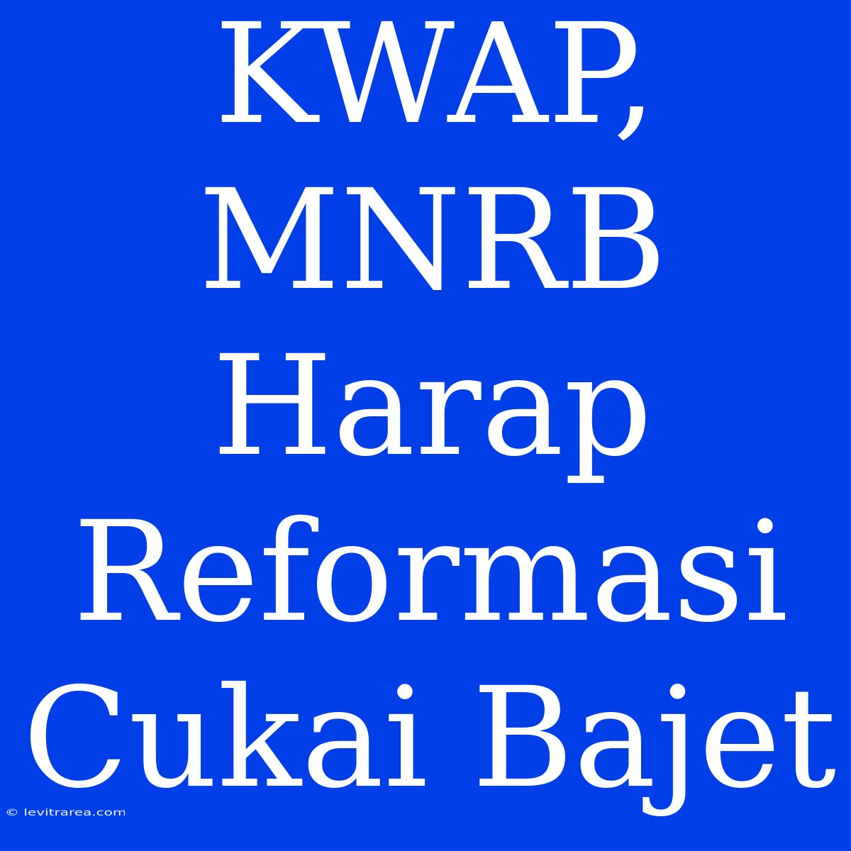 KWAP, MNRB Harap Reformasi Cukai Bajet