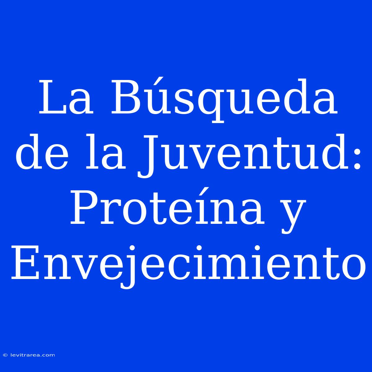 La Búsqueda De La Juventud: Proteína Y Envejecimiento