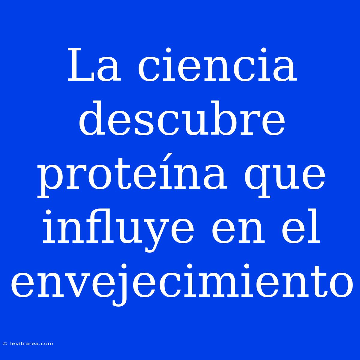 La Ciencia Descubre Proteína Que Influye En El Envejecimiento 