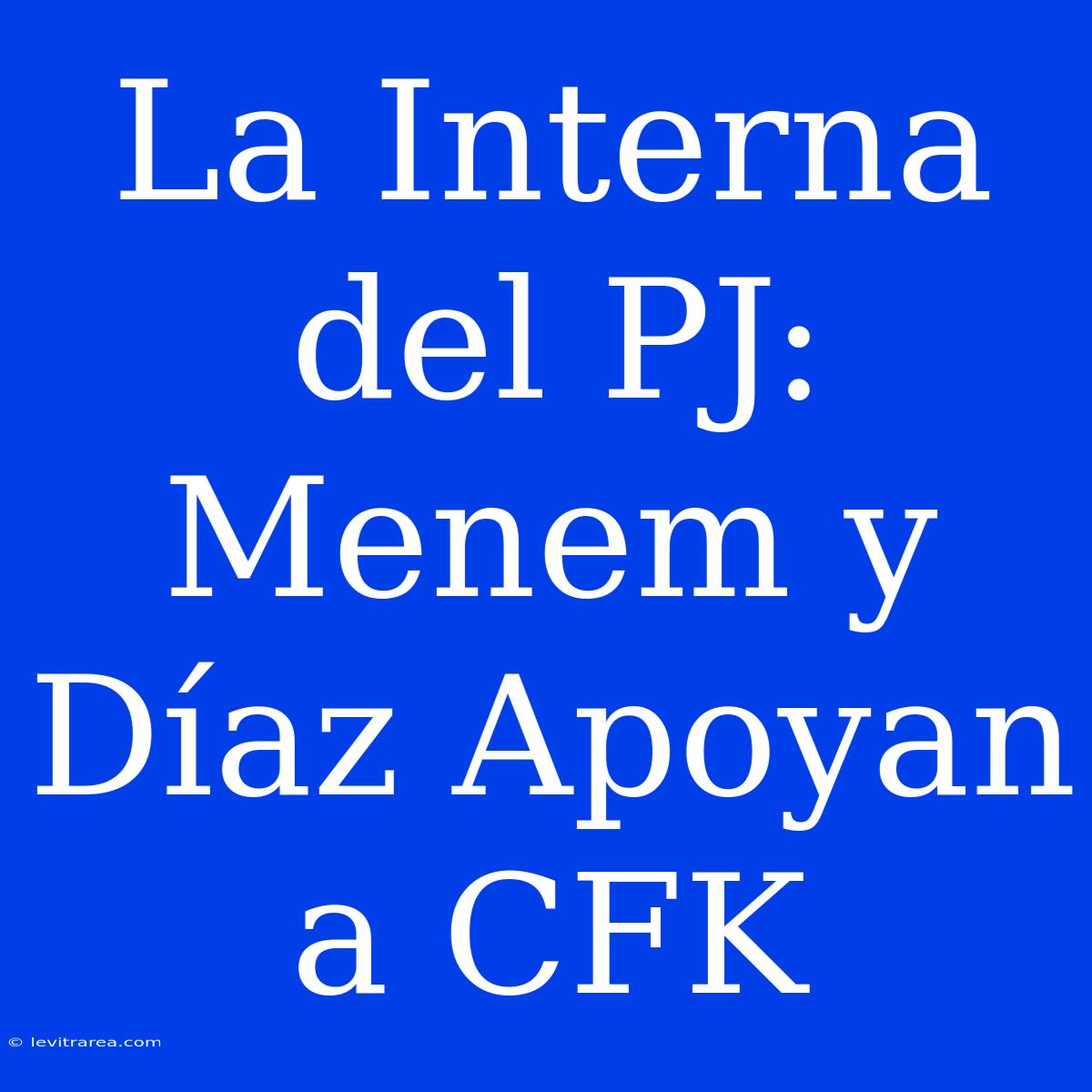 La Interna Del PJ: Menem Y Díaz Apoyan A CFK