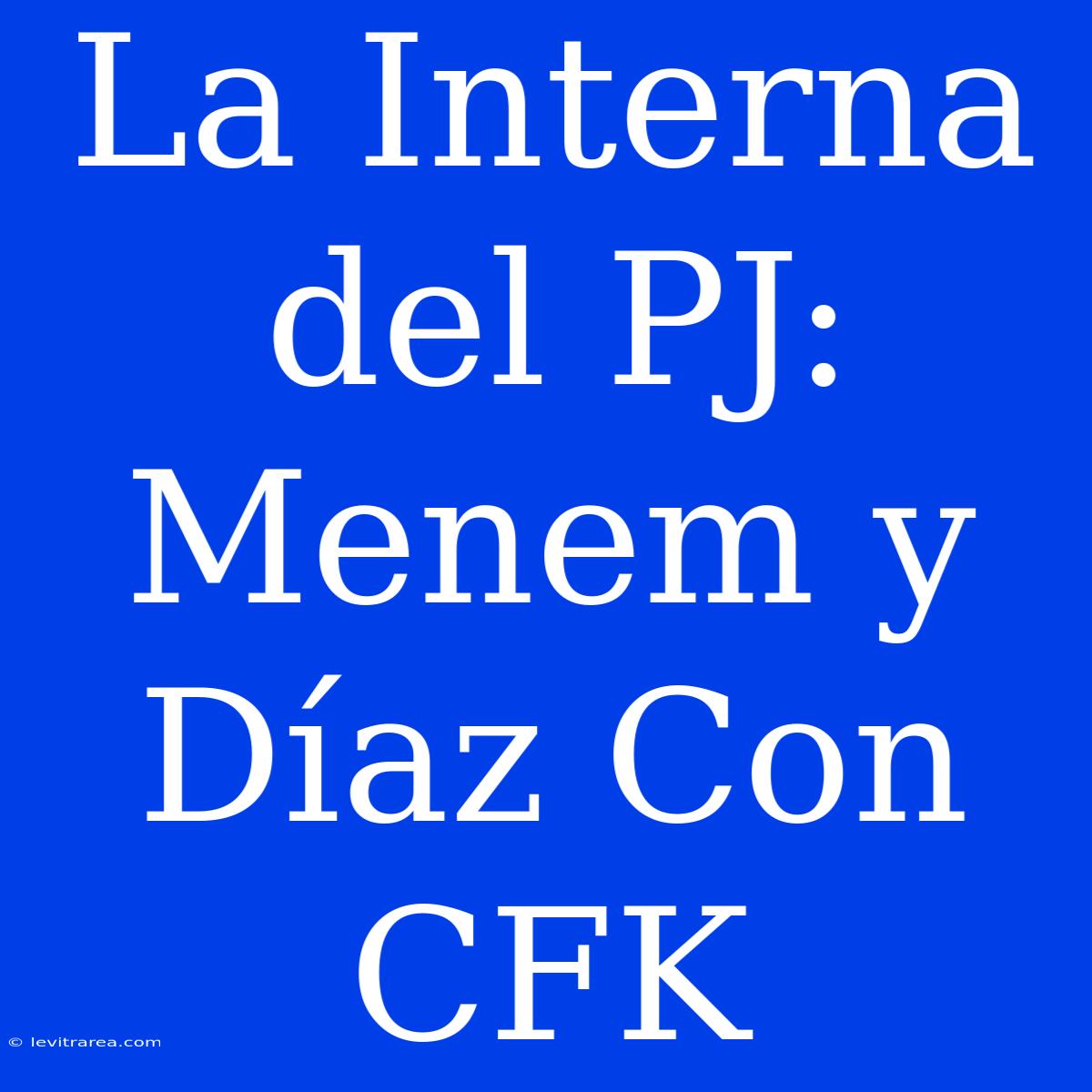 La Interna Del PJ: Menem Y Díaz Con CFK