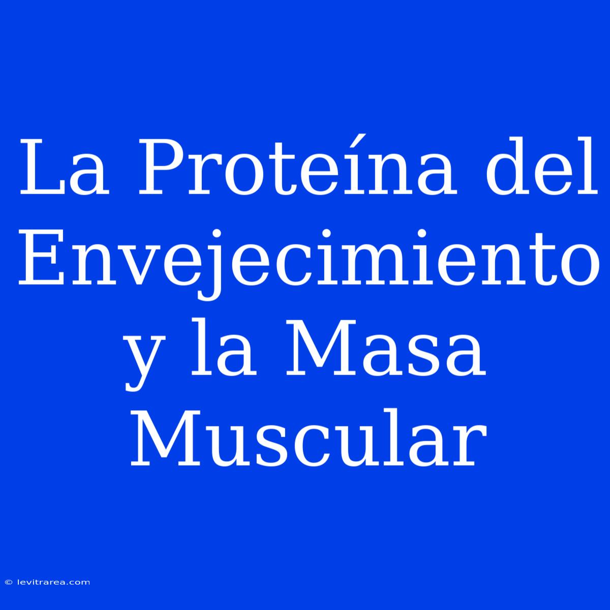 La Proteína Del Envejecimiento Y La Masa Muscular