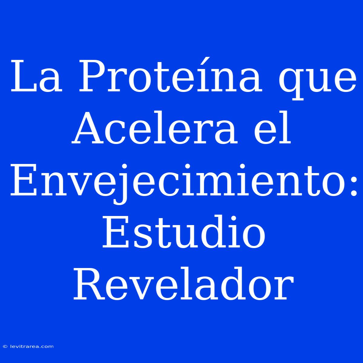 La Proteína Que Acelera El Envejecimiento: Estudio Revelador