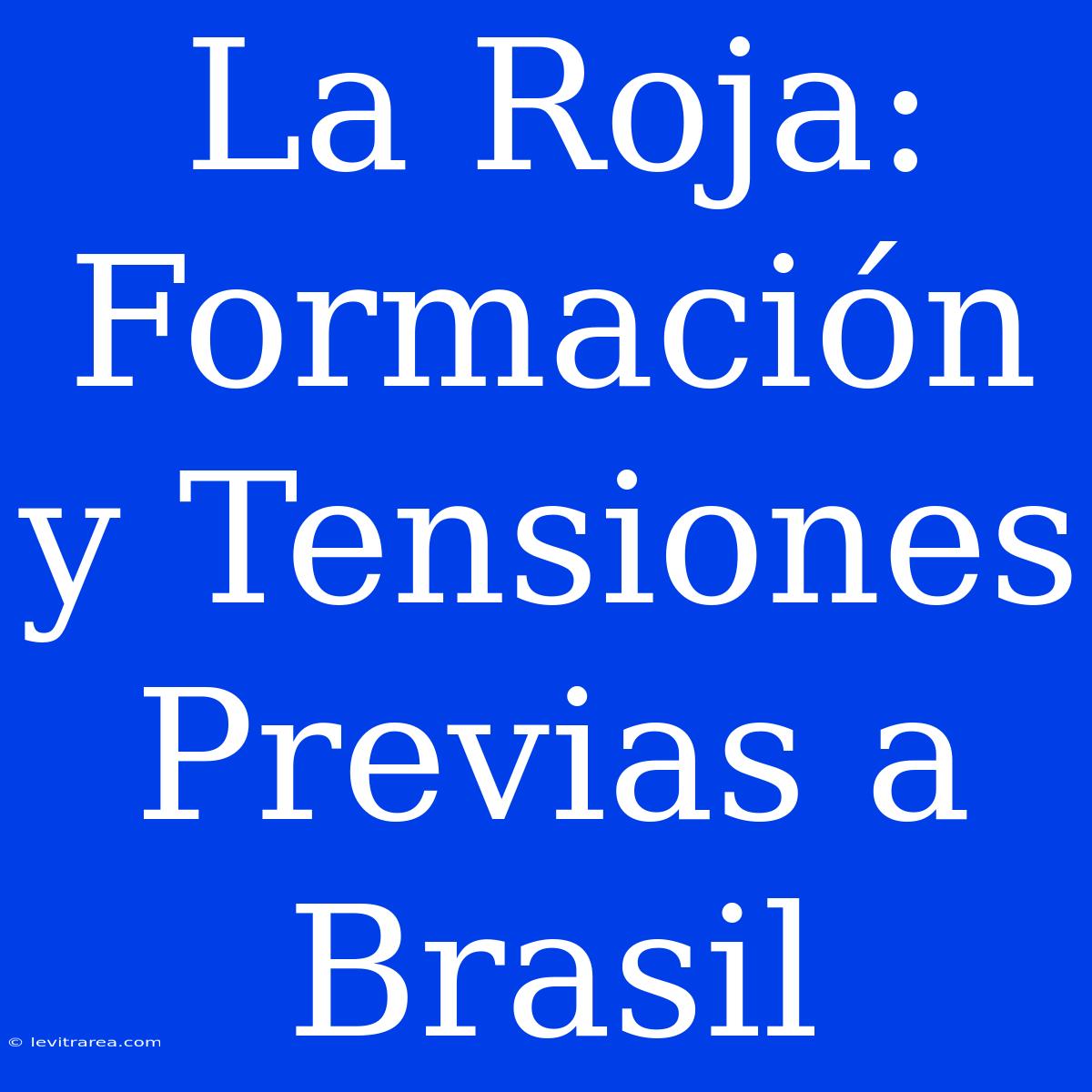 La Roja: Formación Y Tensiones Previas A Brasil