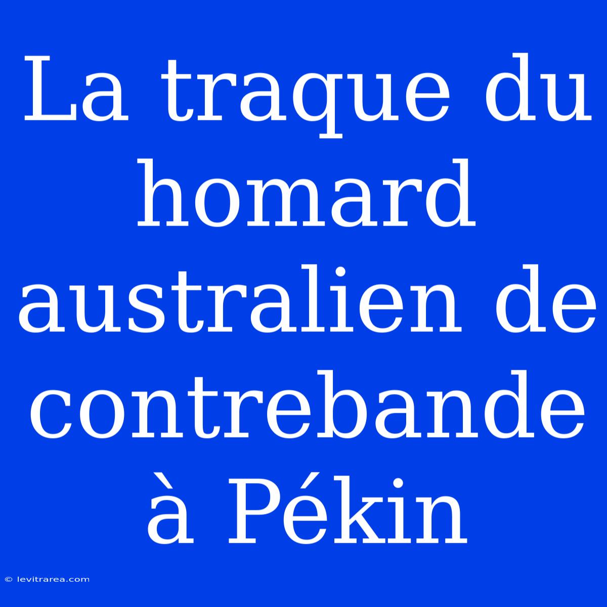 La Traque Du Homard Australien De Contrebande À Pékin