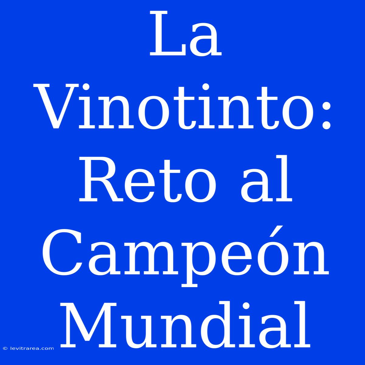 La Vinotinto: Reto Al Campeón Mundial