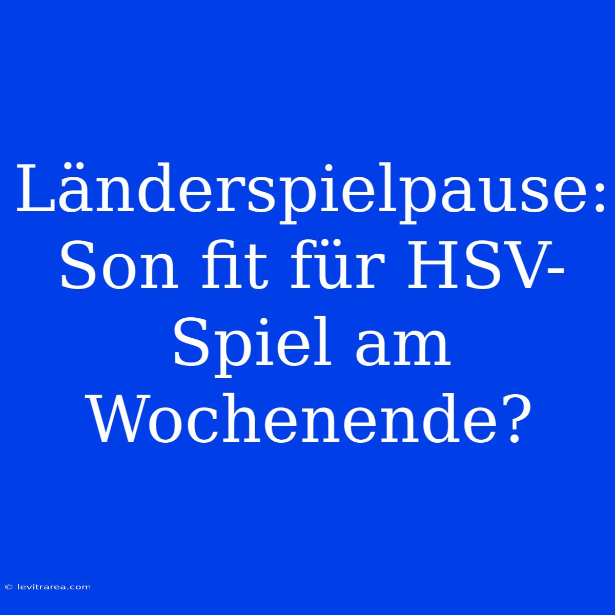 Länderspielpause: Son Fit Für HSV-Spiel Am Wochenende?