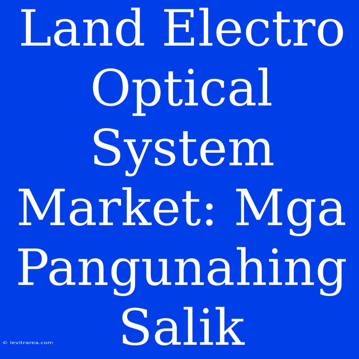 Land Electro Optical System Market: Mga Pangunahing Salik