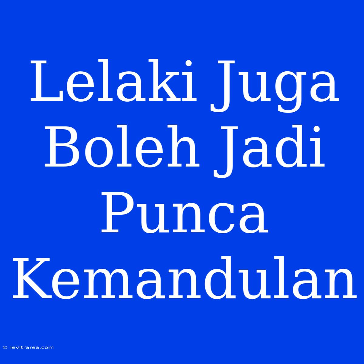 Lelaki Juga Boleh Jadi Punca Kemandulan