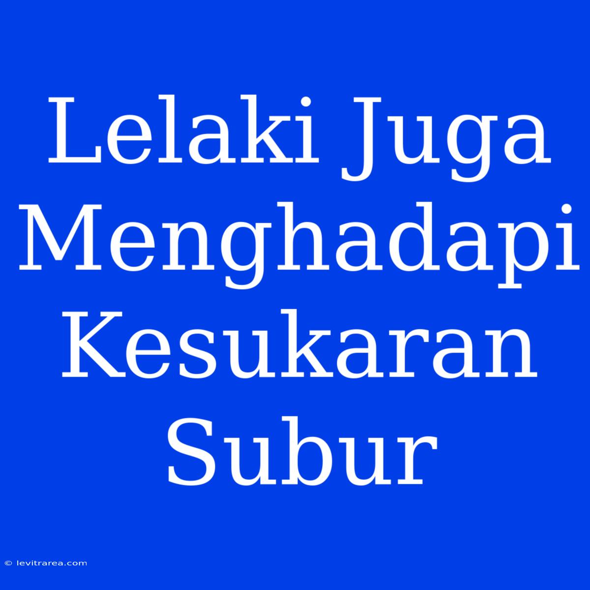 Lelaki Juga Menghadapi Kesukaran Subur