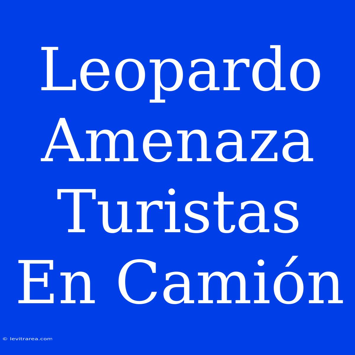 Leopardo Amenaza Turistas En Camión