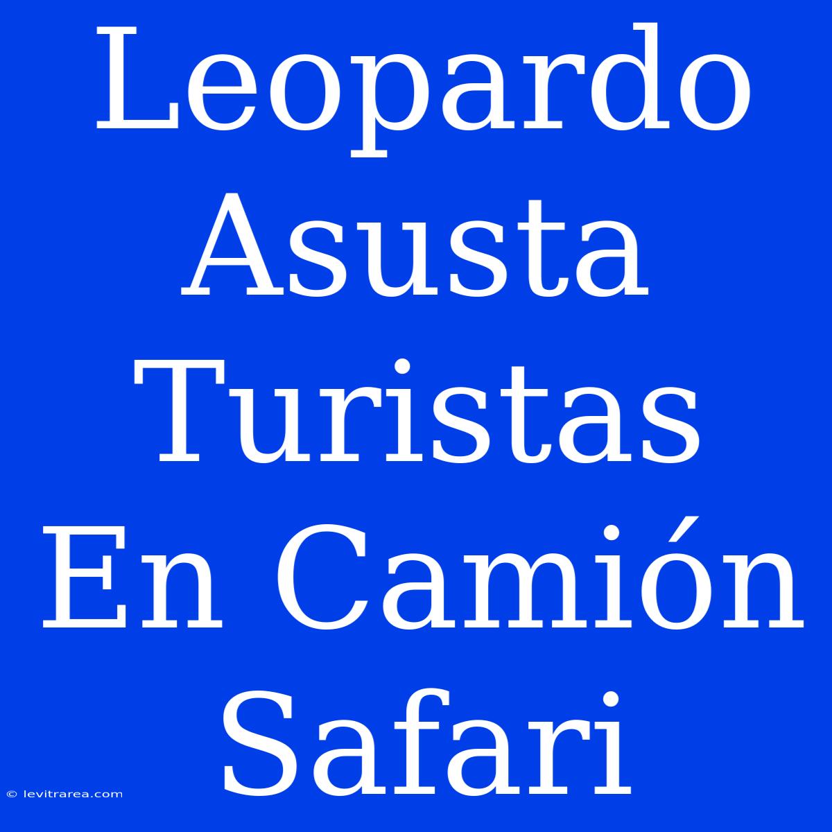 Leopardo Asusta Turistas En Camión Safari 