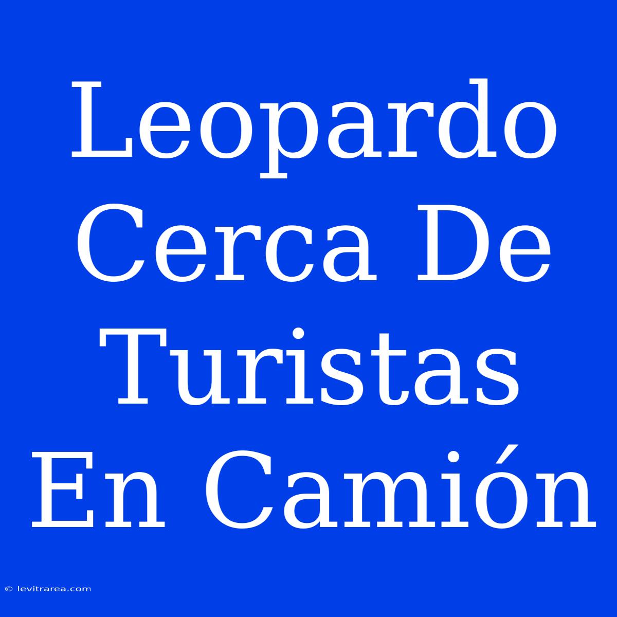 Leopardo Cerca De Turistas En Camión