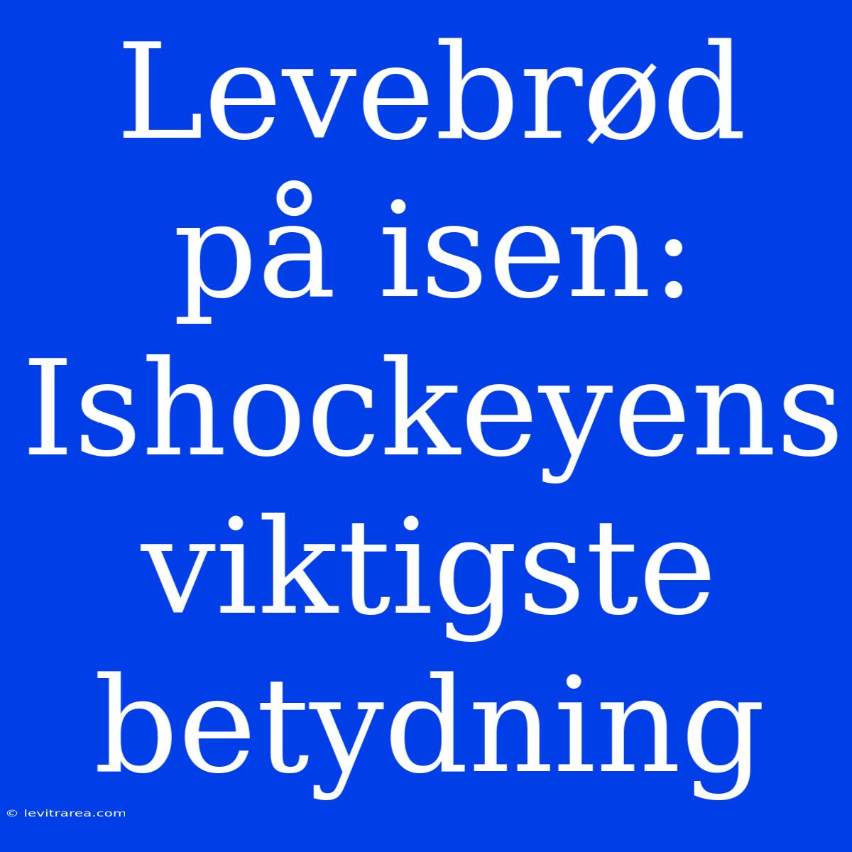 Levebrød På Isen: Ishockeyens Viktigste Betydning 