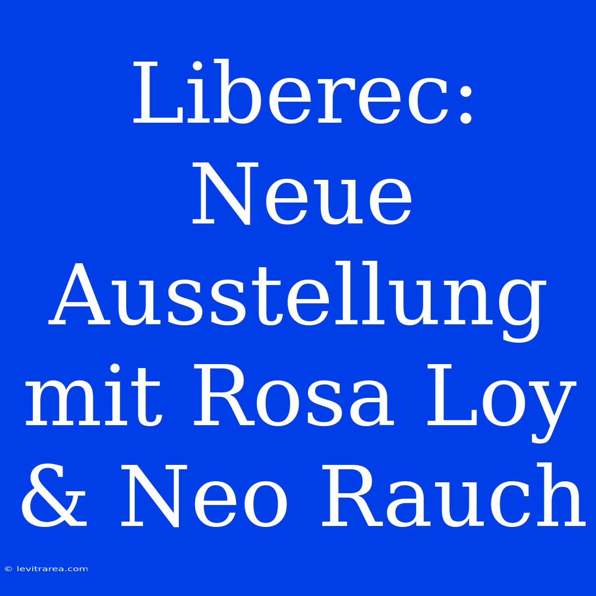 Liberec: Neue Ausstellung Mit Rosa Loy & Neo Rauch