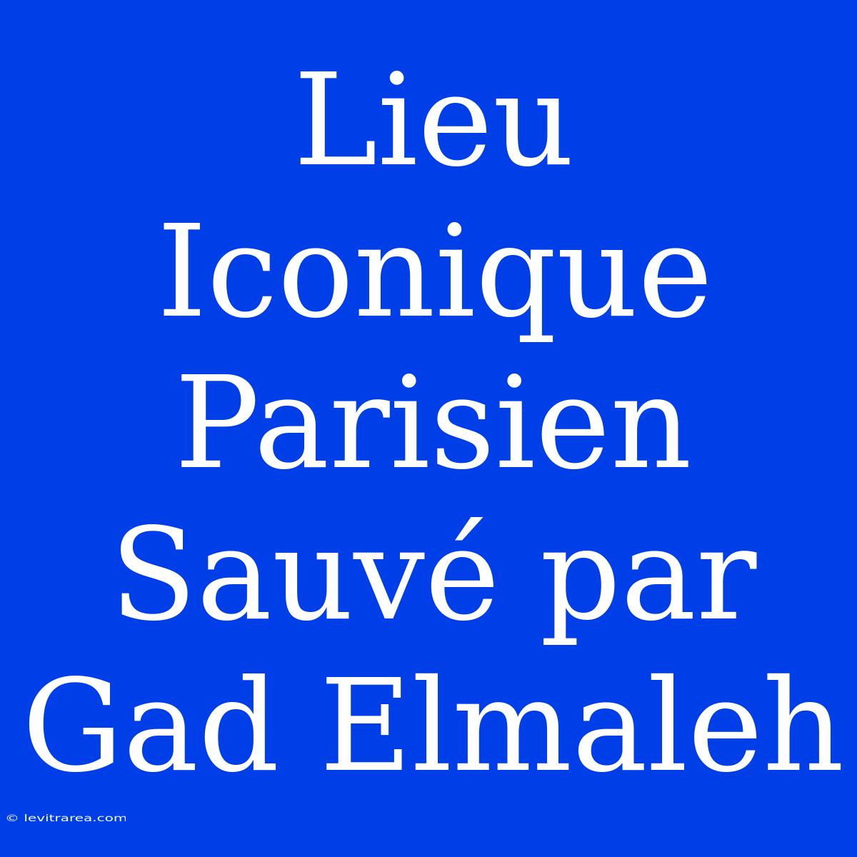 Lieu Iconique Parisien Sauvé Par Gad Elmaleh