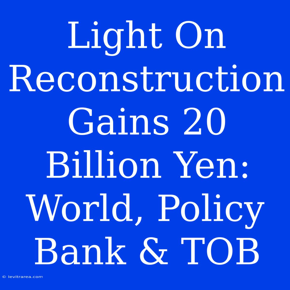 Light On Reconstruction Gains 20 Billion Yen: World, Policy Bank & TOB