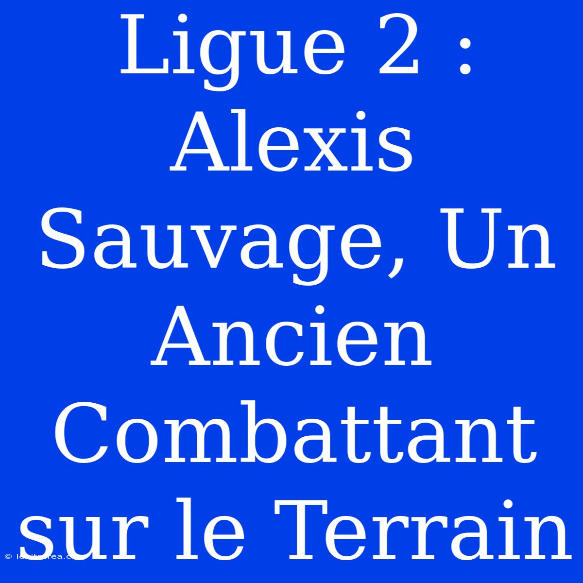 Ligue 2 : Alexis Sauvage, Un Ancien Combattant Sur Le Terrain