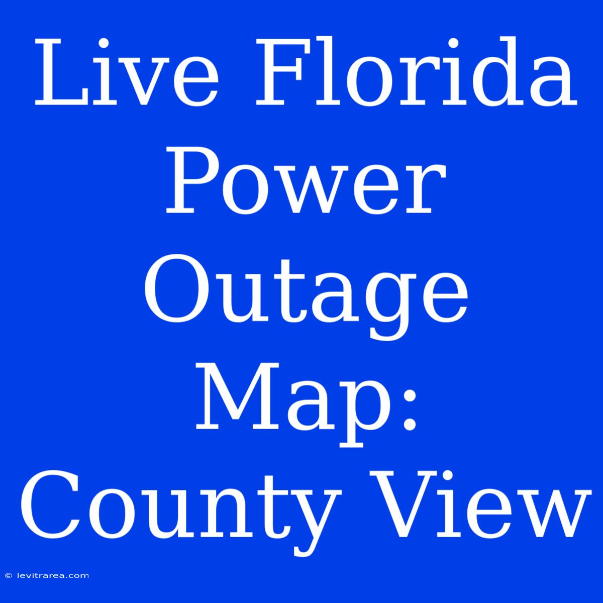 Live Florida Power Outage Map: County View