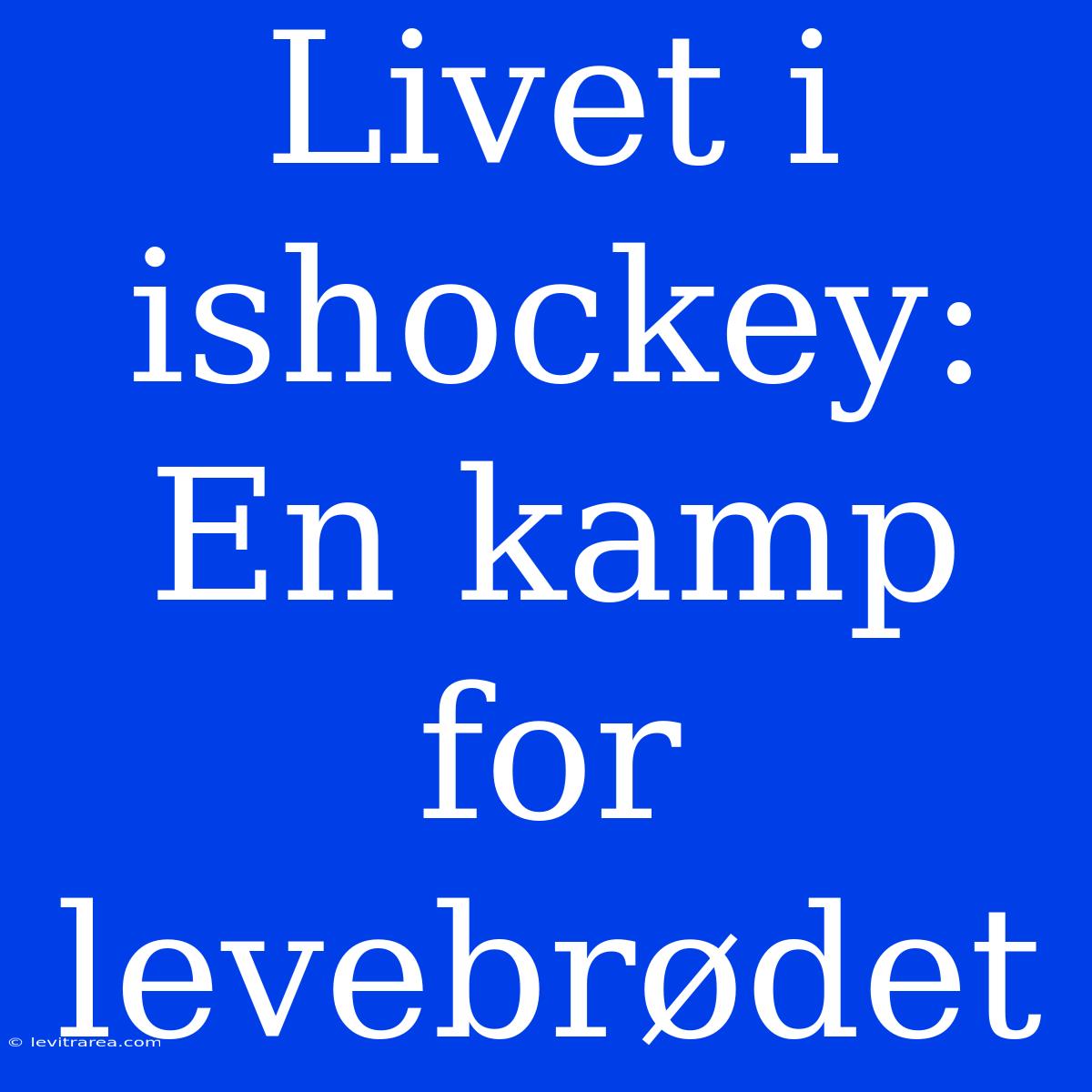 Livet I Ishockey: En Kamp For Levebrødet