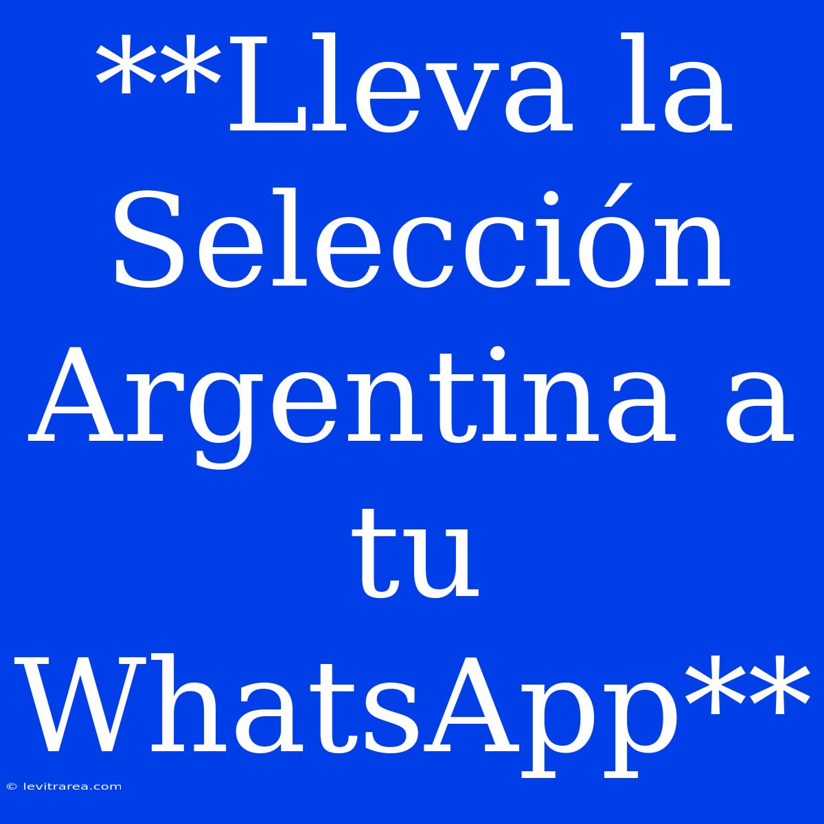 **Lleva La Selección Argentina A Tu WhatsApp**