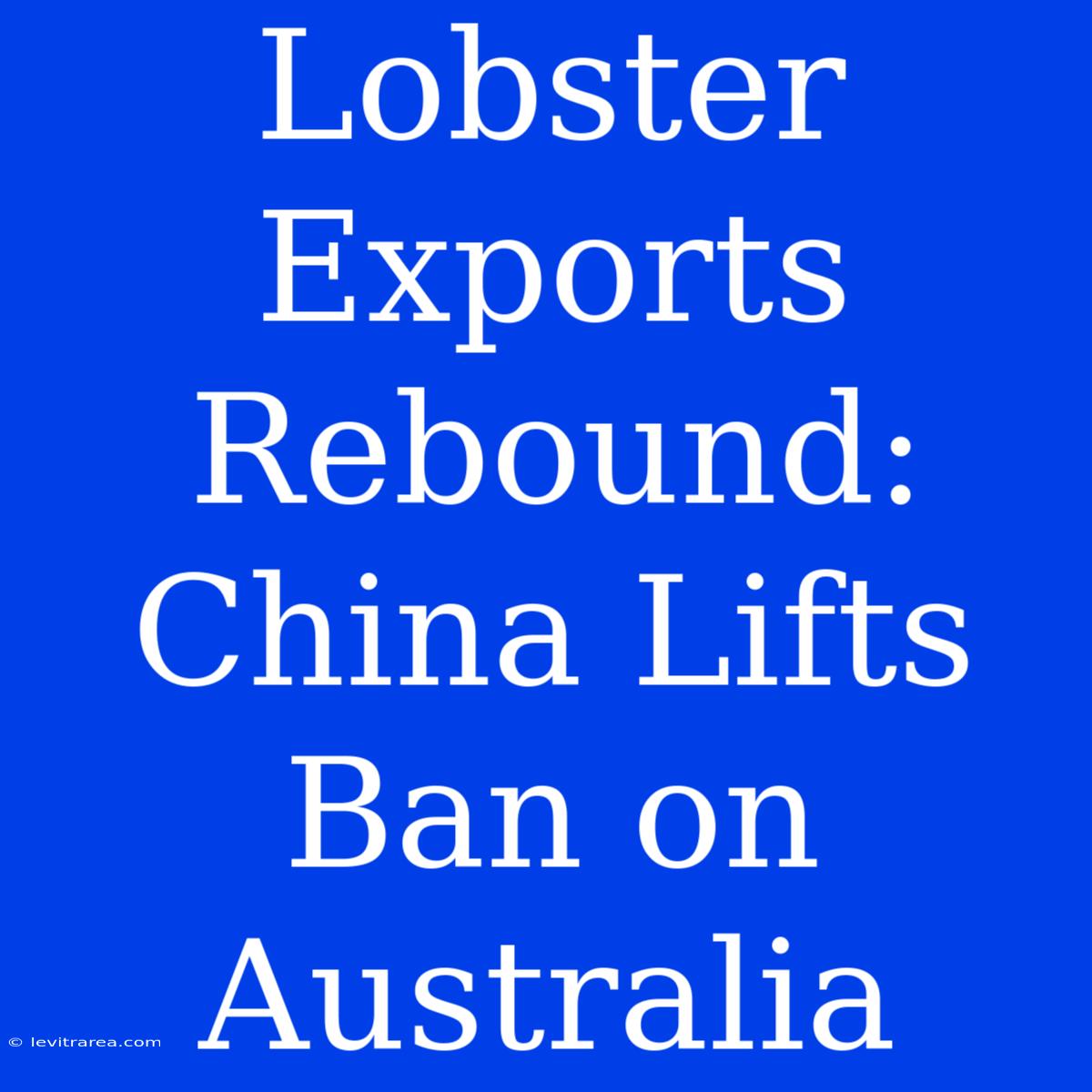 Lobster Exports Rebound: China Lifts Ban On Australia