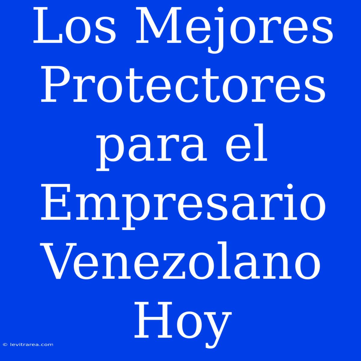 Los Mejores Protectores Para El Empresario Venezolano Hoy 