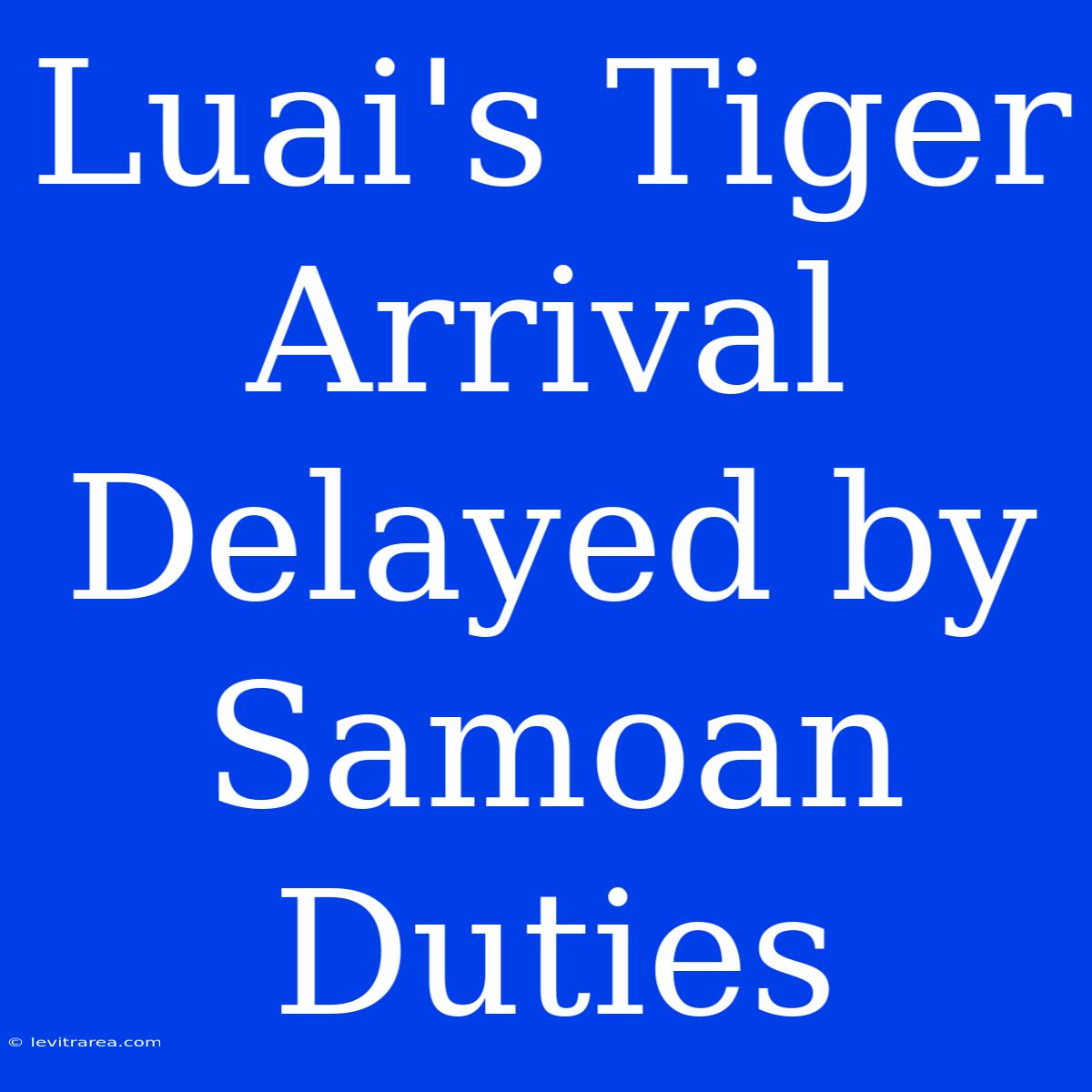 Luai's Tiger Arrival Delayed By Samoan Duties