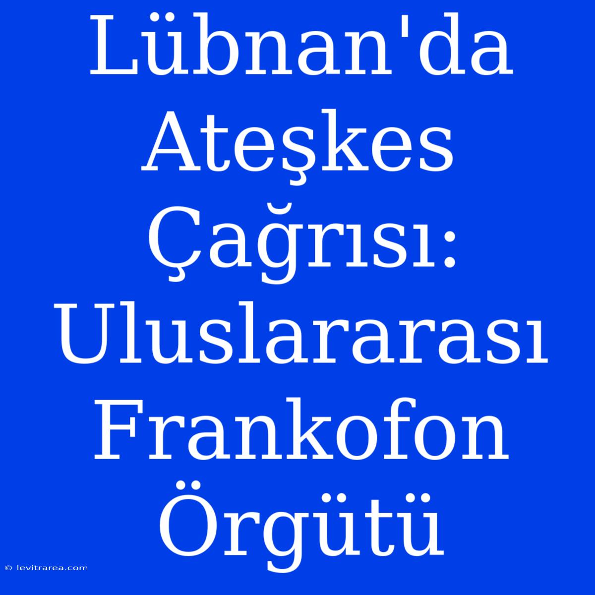 Lübnan'da Ateşkes Çağrısı: Uluslararası Frankofon Örgütü