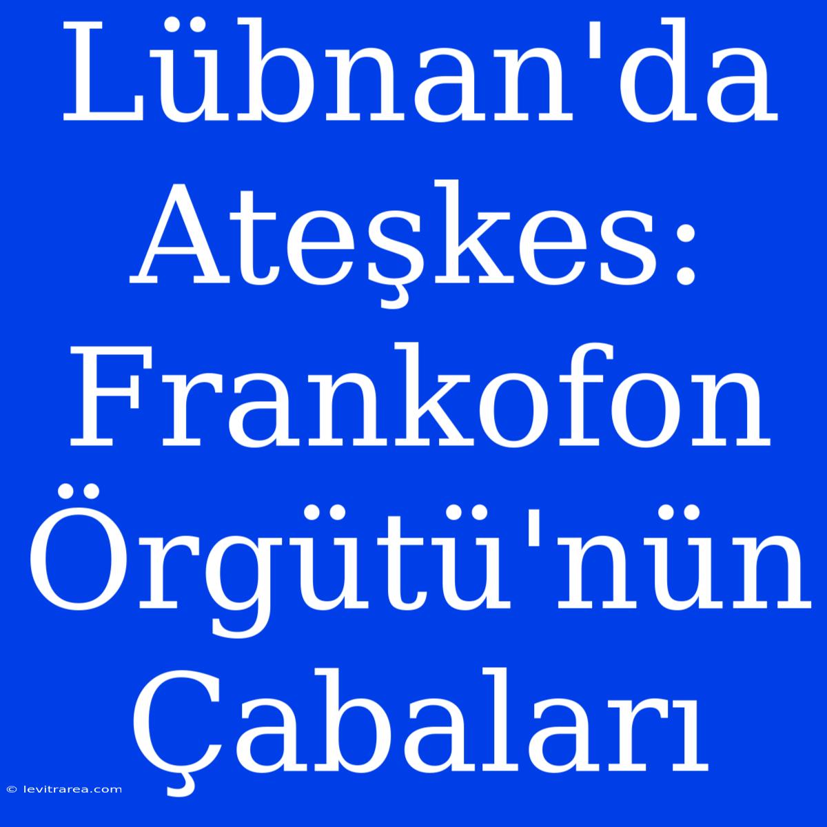 Lübnan'da Ateşkes: Frankofon Örgütü'nün Çabaları