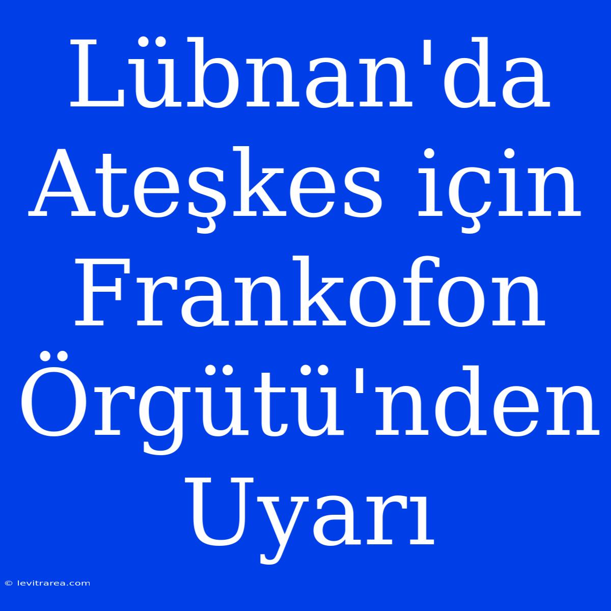 Lübnan'da Ateşkes Için Frankofon Örgütü'nden Uyarı