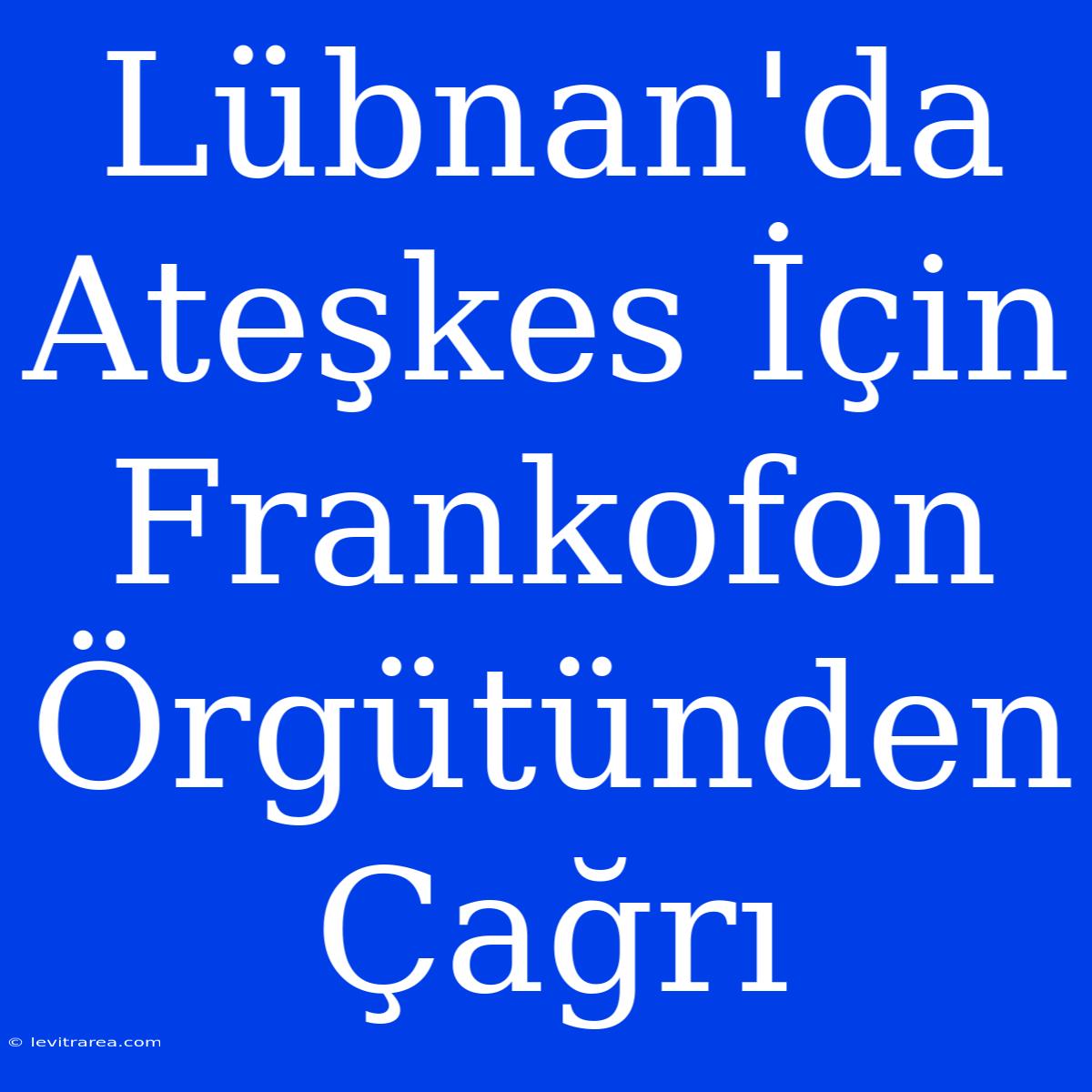 Lübnan'da Ateşkes İçin Frankofon Örgütünden Çağrı