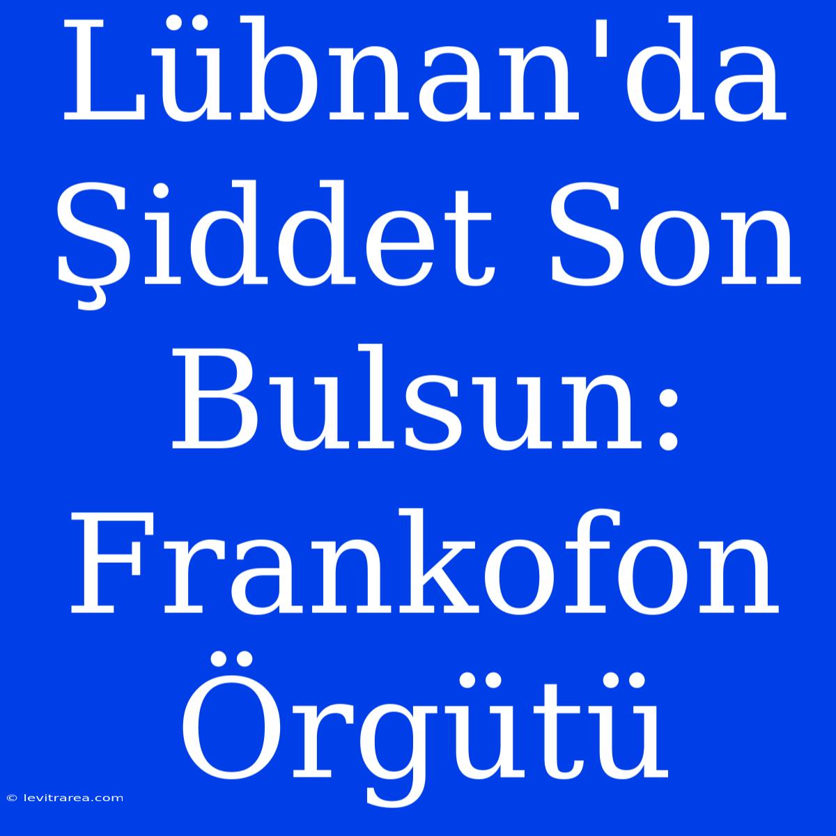 Lübnan'da Şiddet Son Bulsun: Frankofon Örgütü